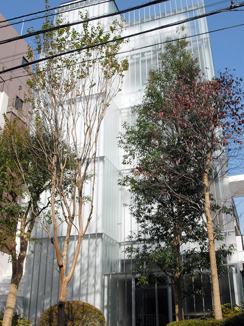 四ツ谷メイフラワーハウス_完成写真