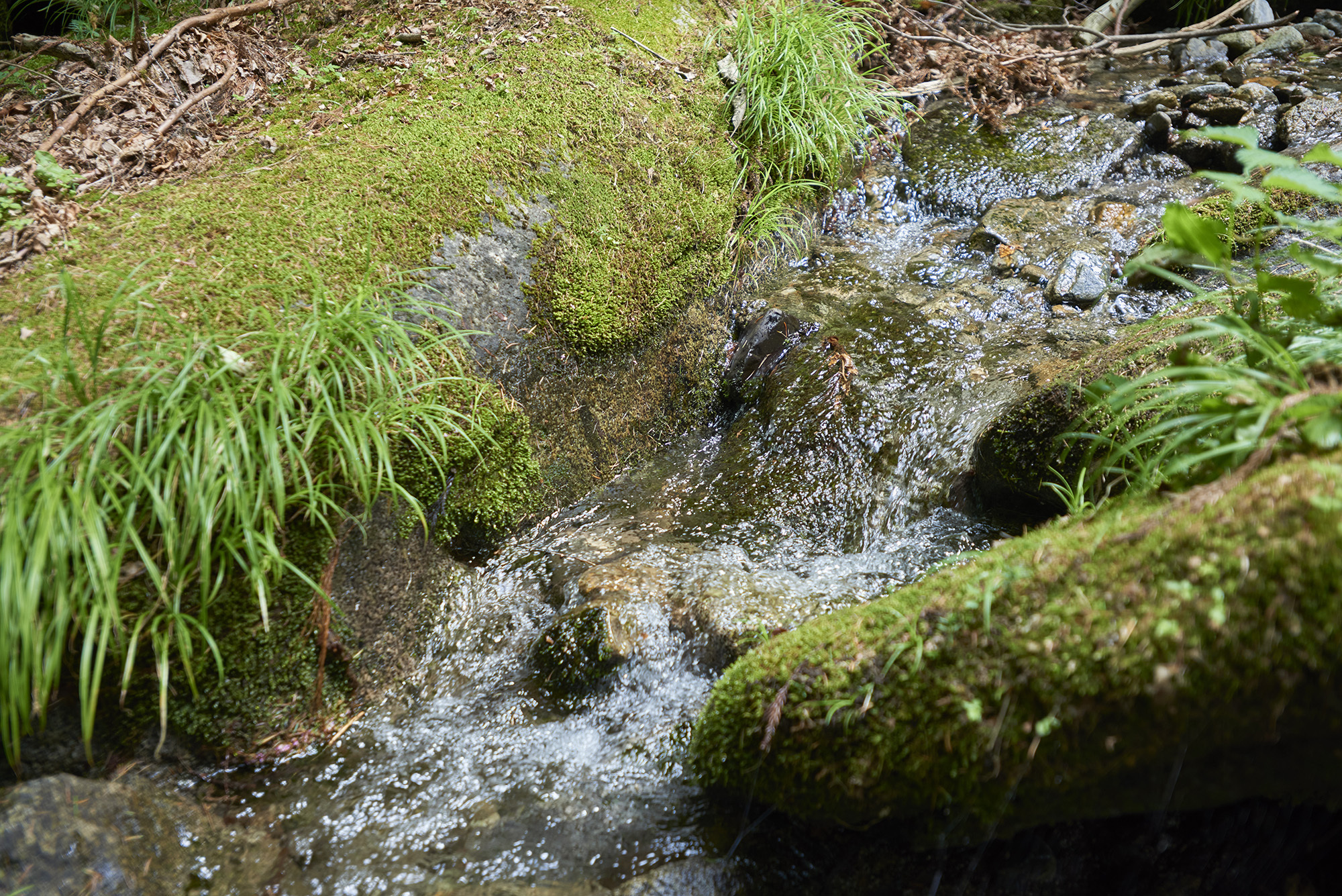 874b11a63a34fd4cd7875160ad6cc7e